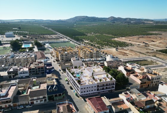 Penthouse · New Build - Algorfa · Alicante · Spain