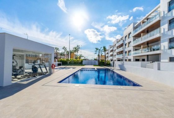 Planta Baja · New Build - Torrevieja · Alicante (South) · Spain