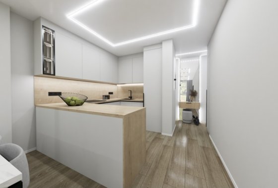 Planta Baja · 新建筑 - Torrevieja · Alicante (South) · 西班牙