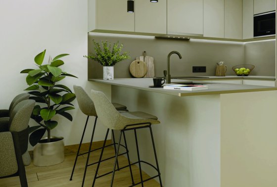 Planta Baja · New Build - Torrevieja · Alicante (South) · Spain