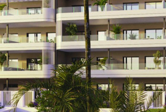 Planta Baja · New Build - Torrevieja · Alicante (South) · Spain