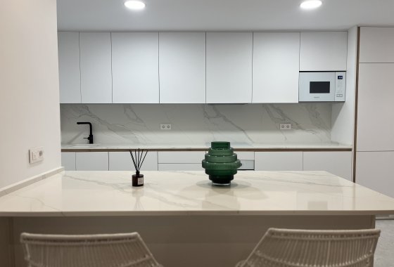 Planta Baja · New Build - Torrevieja · Alicante (South) · Spain