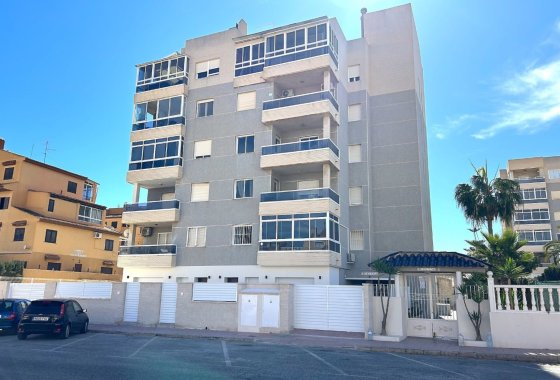 Planta Baja · New Build - Torrevieja · Alicante (South) · Spain