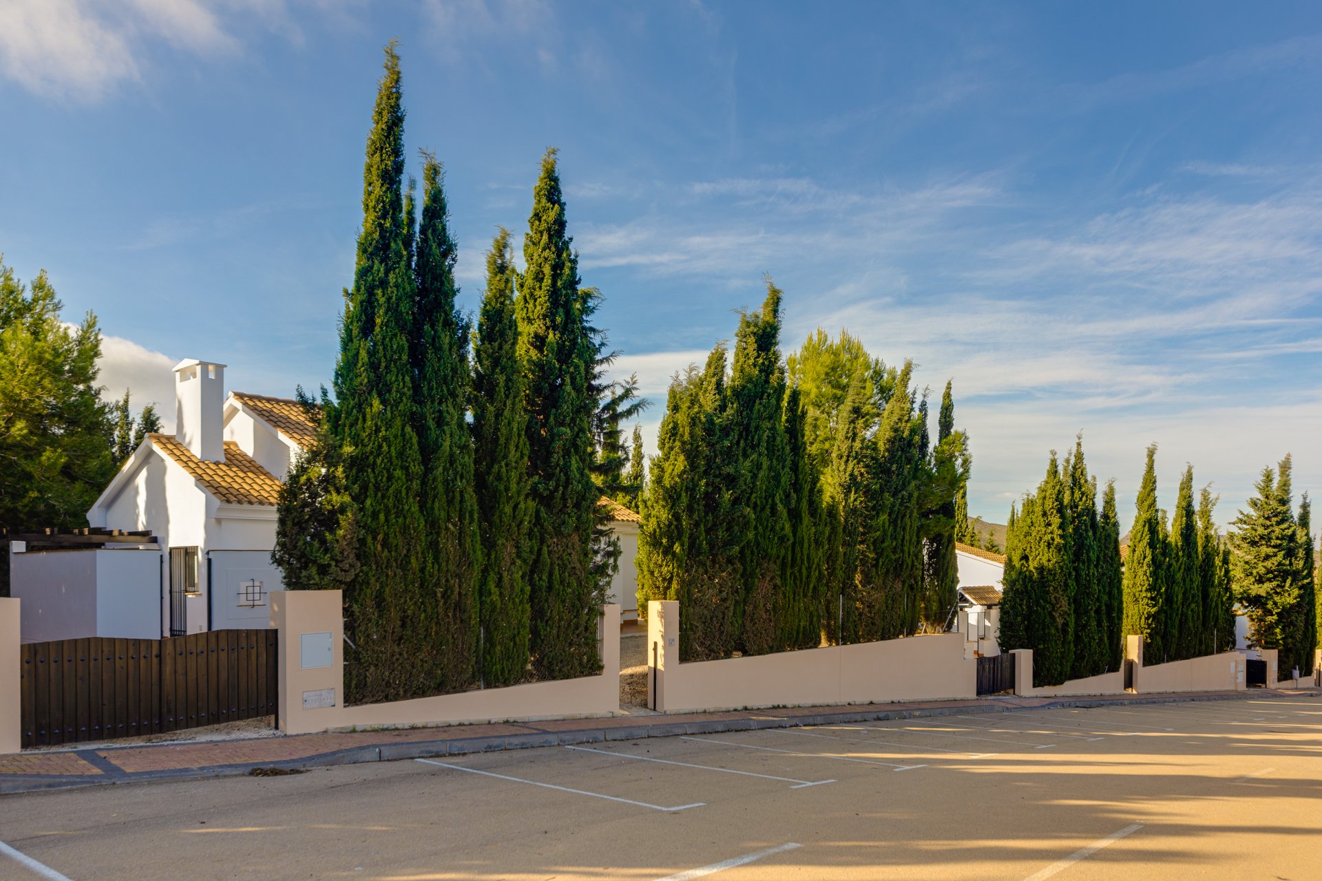 Obra nueva - Villa - Fuente Alamo