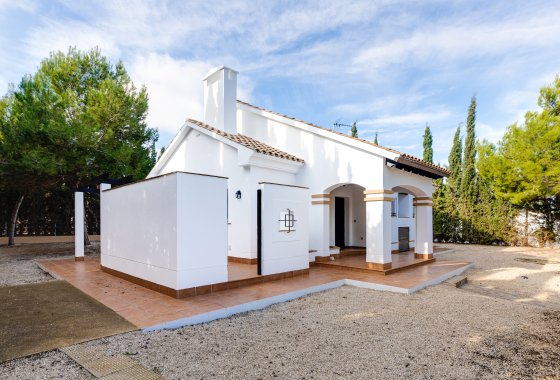 Villa · Obra nueva - Fuente Alamo · Murcia · España