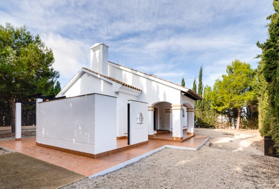 Villa · Obra nueva - Fuente Alamo · Murcia · España