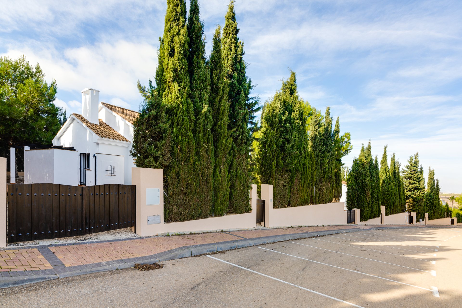 Obra nueva - Villa - Fuente Alamo