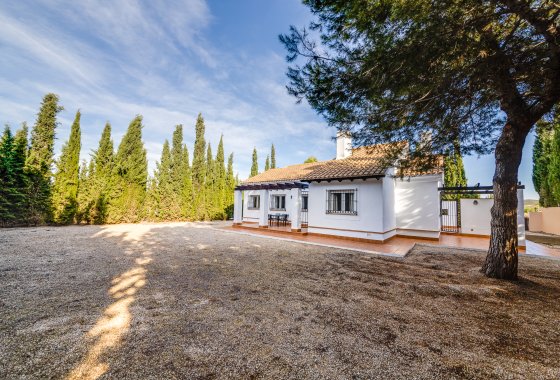 Villa · Obra nueva - Fuente Alamo · Murcia · España