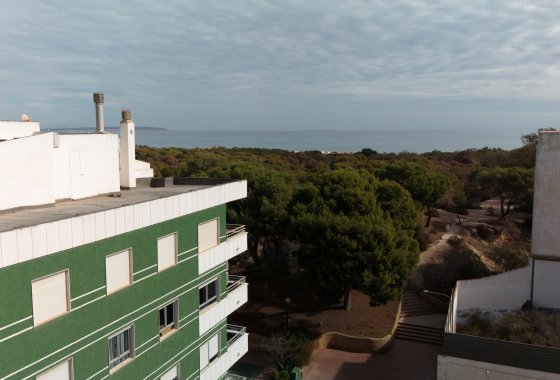 Apartamento · Obra nueva - Guardamar del Segura · Alicante · España