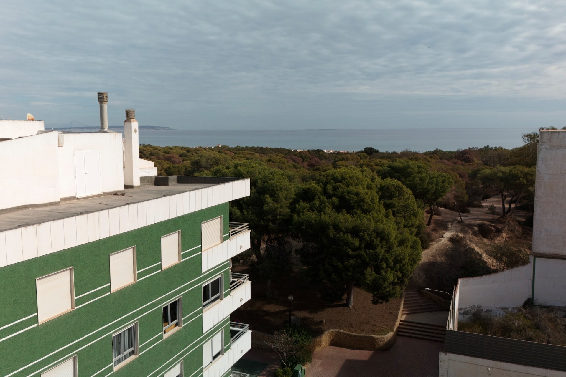 Nieuwbouw Woningen - Apartamento - Guardamar del Segura