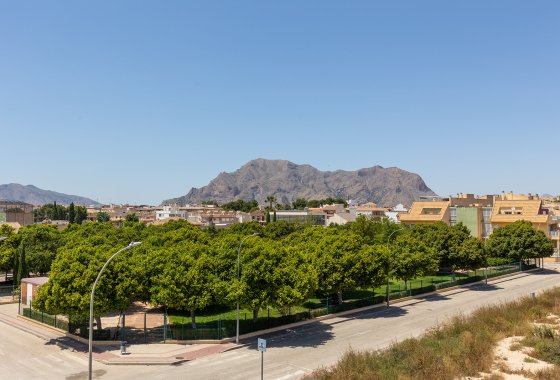 Pareado · Obra nueva - Rafal · Alicante · España