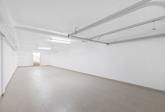 Pareado · Obra nueva - Rafal · Alicante · España