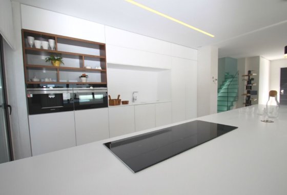 Villa · Obra nueva - San Miguel de Salinas · Alicante · España
