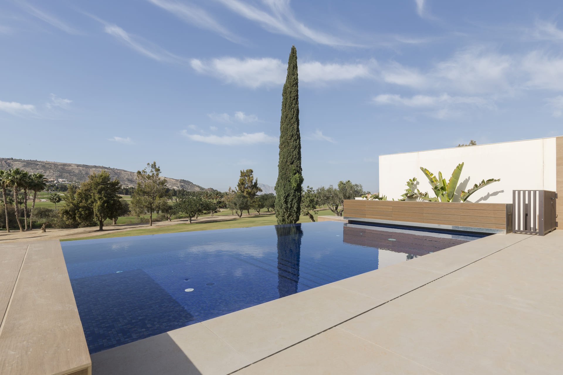Obra nueva - Villa - La Finca Golf
