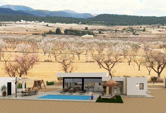 Villa · Obra nueva - Pinoso · Alicante · España