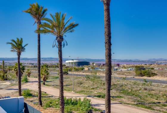 Villa · Obra nueva - Torrevieja · Alicante (South) · España
