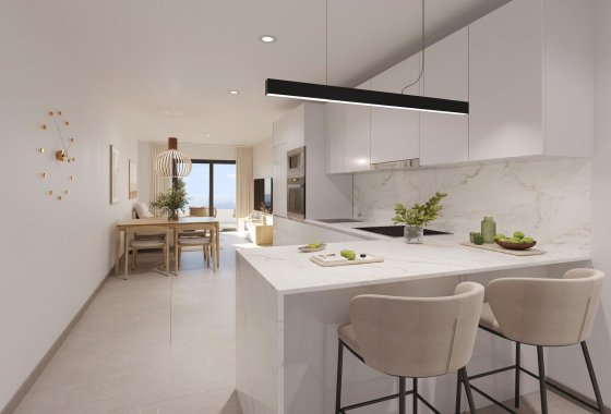 Penthouse · New Build - Torrevieja · Alicante (South) · Spain