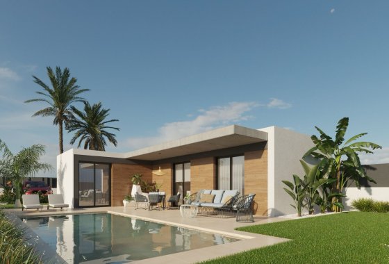 Villa · Obra nueva - Molina de Segura · Murcia · España