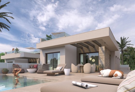 Villa · Obra nueva - Rojales · Alicante · España