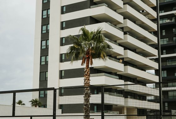 Ático · Obra nueva - Calpe · Alicante · España