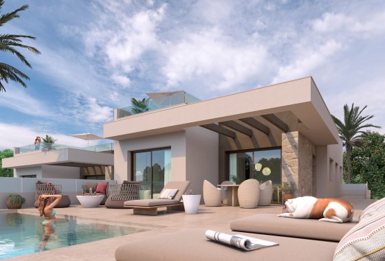 Villa · Obra nueva - Rojales · Alicante · España
