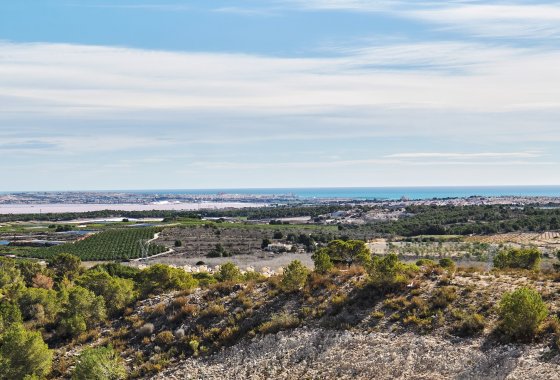 Villa · Obra nueva - San Miguel de Salinas · Alicante · España
