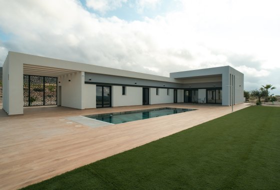 Villa · Obra nueva - Pinoso · Alicante · España