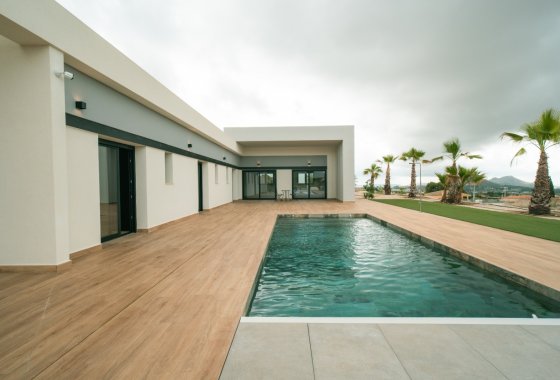 Villa · Obra nueva - Pinoso · Alicante · España