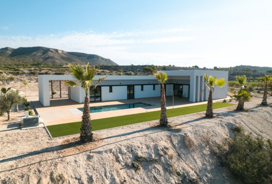 Villa · Obra nueva - Pinoso · Alicante · España