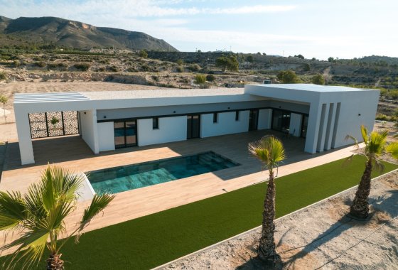 Villa · Obra nueva - Pinoso · Alicante · España