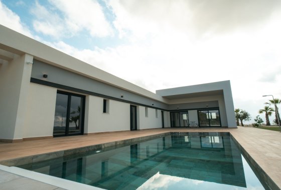 Villa · Obra nueva - Pinoso · Alicante · España