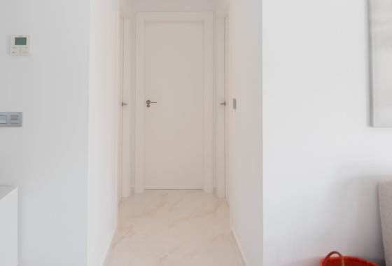 Villa · Obra nueva - Pinar de Campoverde · Alicante · España