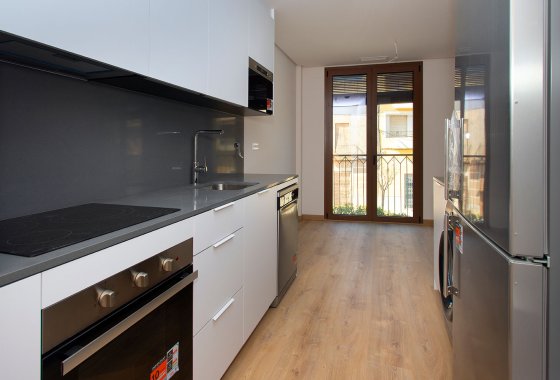 Penthouse · New Build - Hondón de las Nieves · Alicante · Spain
