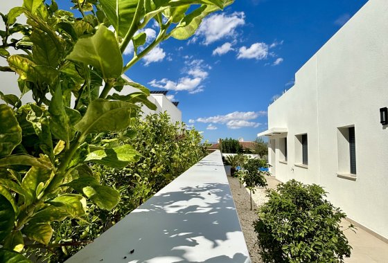 Villa · Nieuwbouw Woningen - Benijofar · Alicante · Spanje