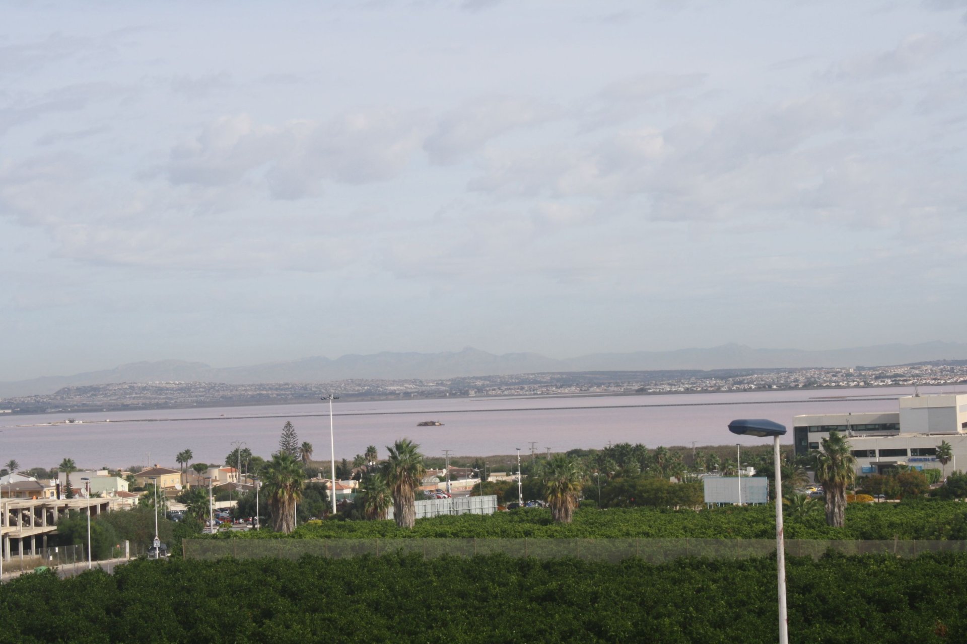新建筑 - House - Semi-Detached House - Torrevieja
