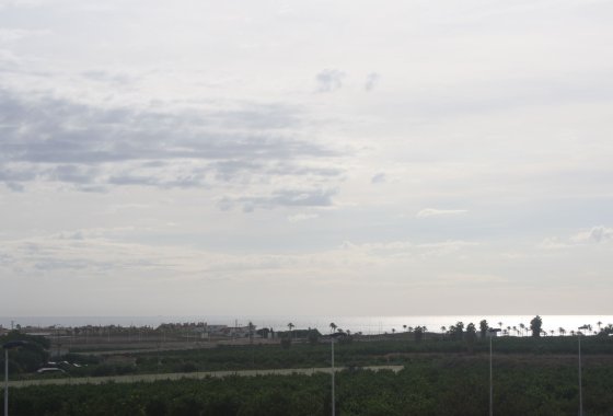 Pareado · Obra nueva - Torrevieja · Alicante (South) · España