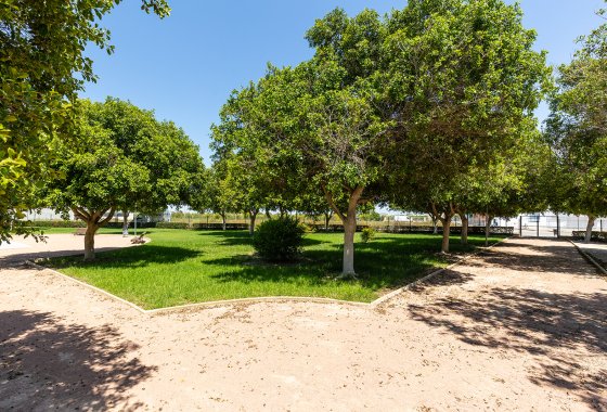 House - Semi-Detached House · 新建筑 - Rafal · Alicante · 西班牙