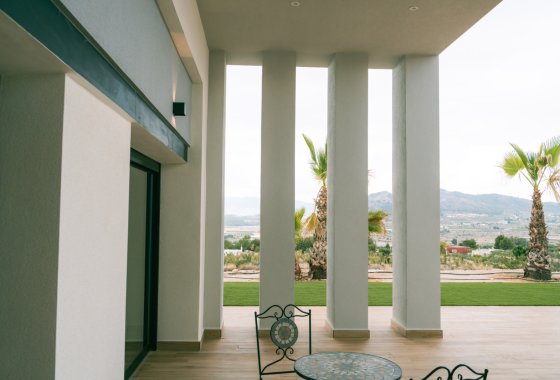 Villa · 新建筑 - Pinoso · Alicante · 西班牙