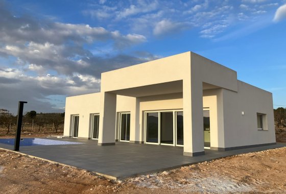 Villa · 新建筑 - Pinoso · Alicante · 西班牙