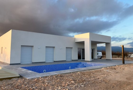 Villa · 新建筑 - Pinoso · Alicante · 西班牙
