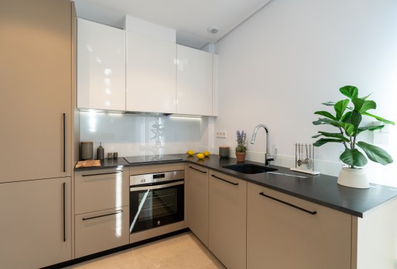 Herenhuis · Nieuwbouw Woningen - Elche · Alicante · Spanje