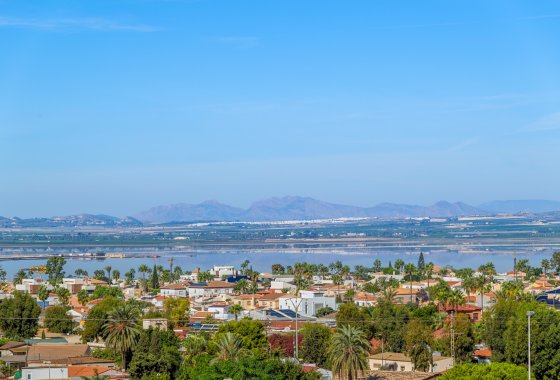 Apartamento · Resale - Torrevieja · Alicante (South) · Spain