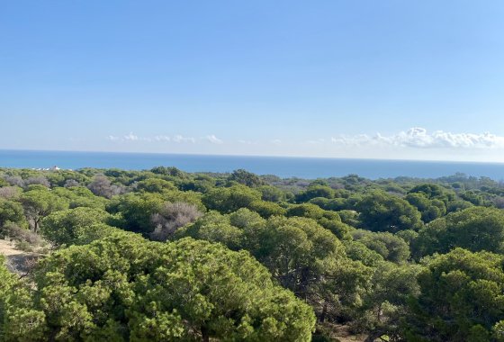 Apartamento · Nieuwbouw Woningen - Guardamar del Segura · Alicante · Spanje
