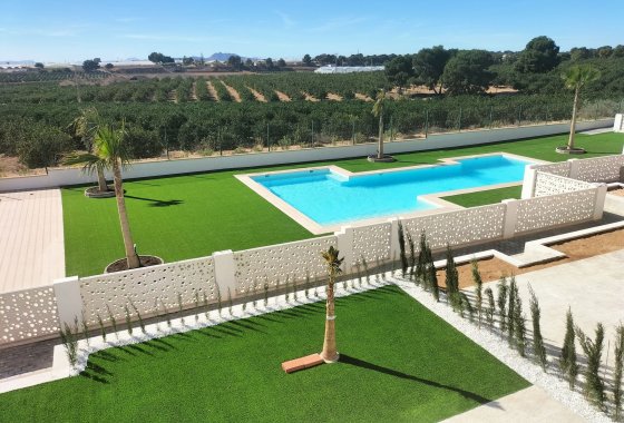 Villa · Obra nueva - Pilar de la Horadada · Alicante · España