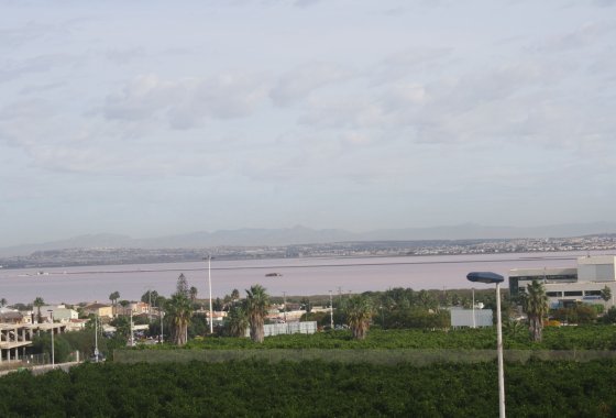 Pareado · Obra nueva - Torrevieja · Alicante (South) · España