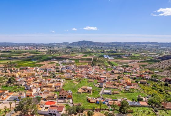 Casa de campo · Reventa - Orihuela · Alicante · España