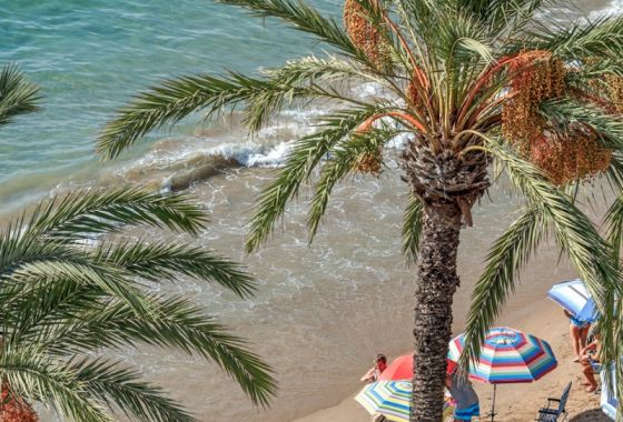 Apartamento · Herverkoop - Torrevieja · Alicante (South) · Spanje
