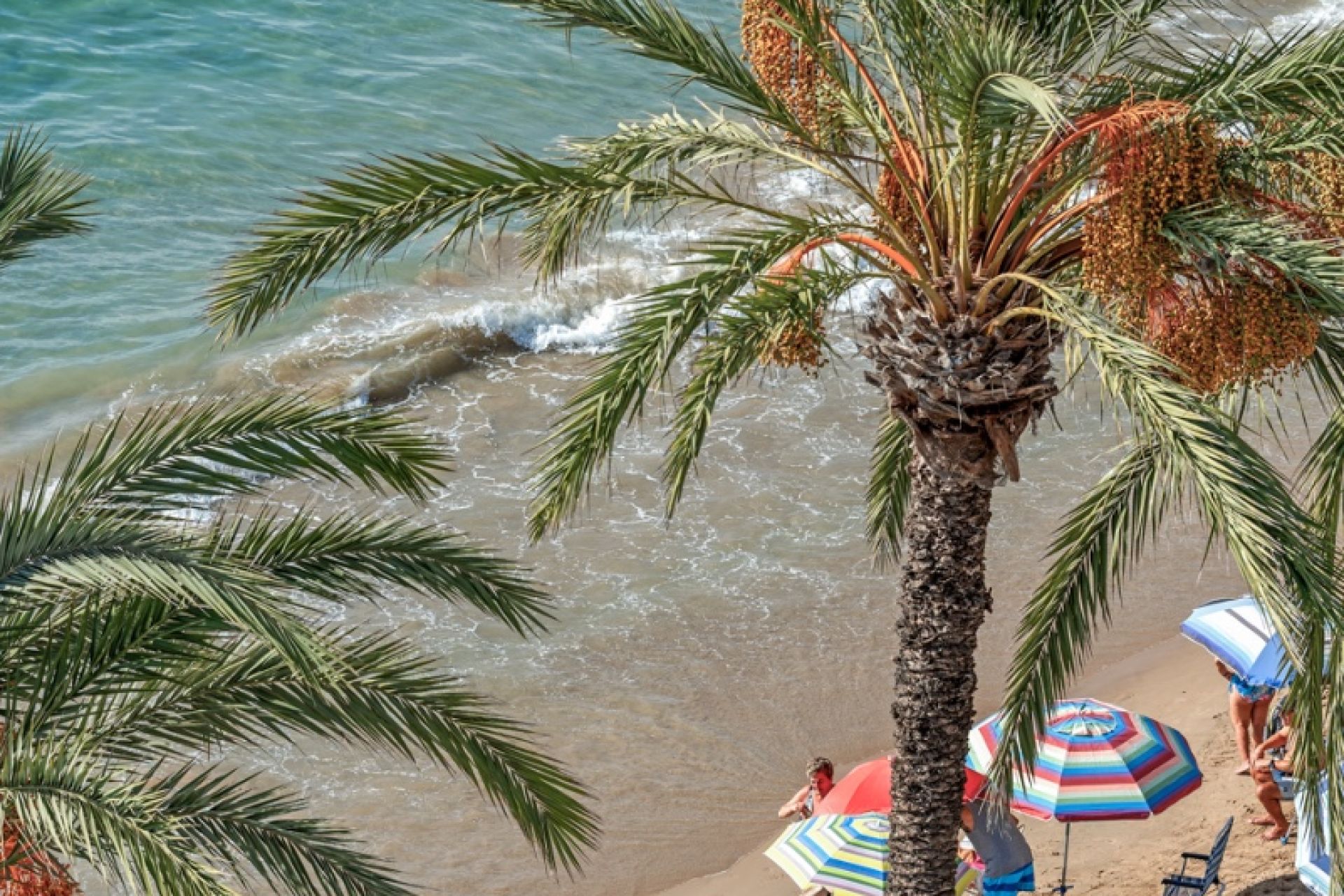 Herverkoop - Apartamento - Torrevieja