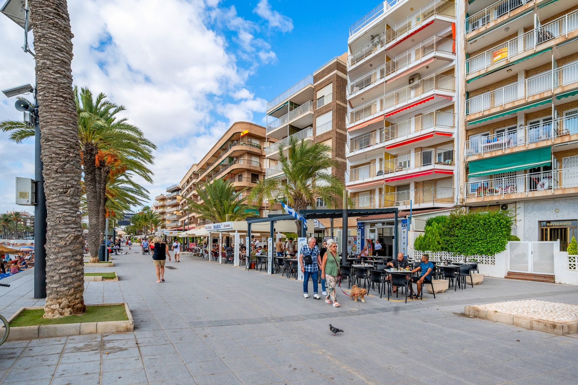Herverkoop - Apartamento - Torrevieja