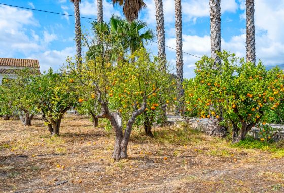 Casa De Campo · Herverkoop - La Nucía · Alicante · Spanje